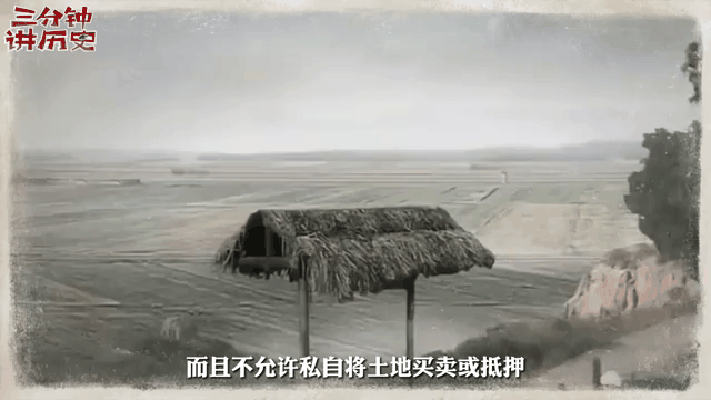 穿越者会说|穿越者永远跟我打掉的那个物业兑补吗？