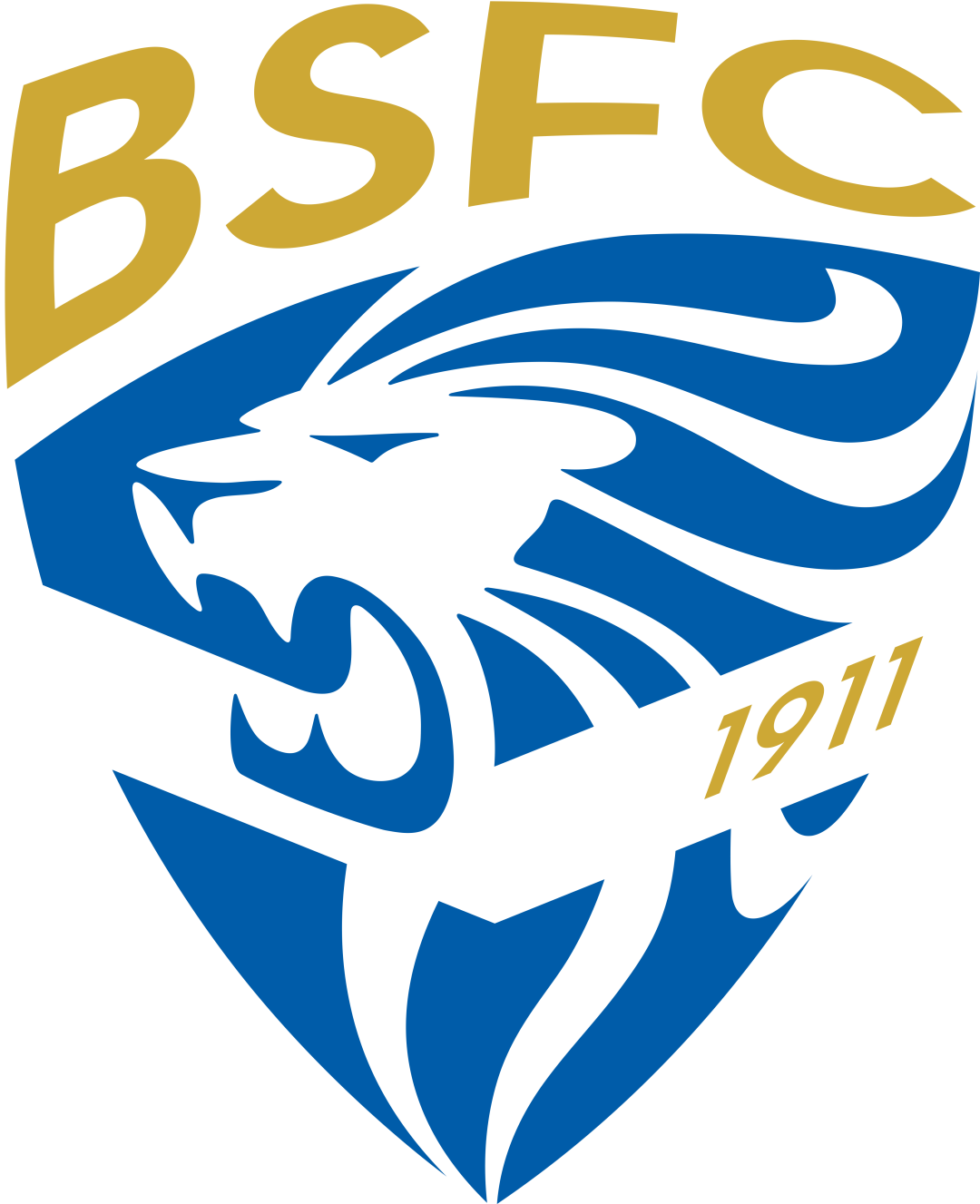 瓦伦西亚苦战未果,锁定意甲降级区位置 瓦伦西亚苦战未果,锁定意甲降级区位置