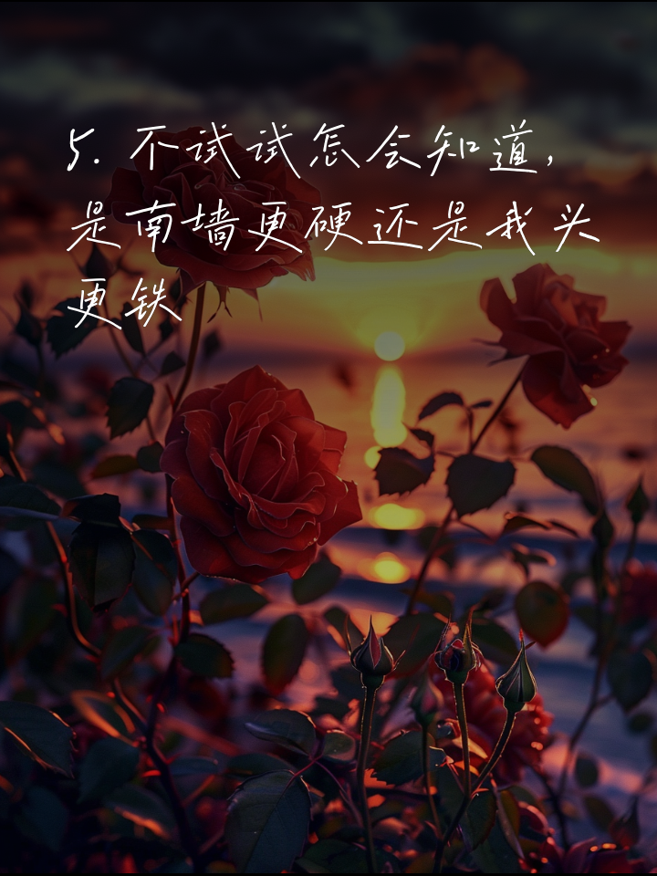 南锡主场不敌对手,顽强拼搏努力争胜 南锡主场不敌对手,顽强拼搏努力争胜