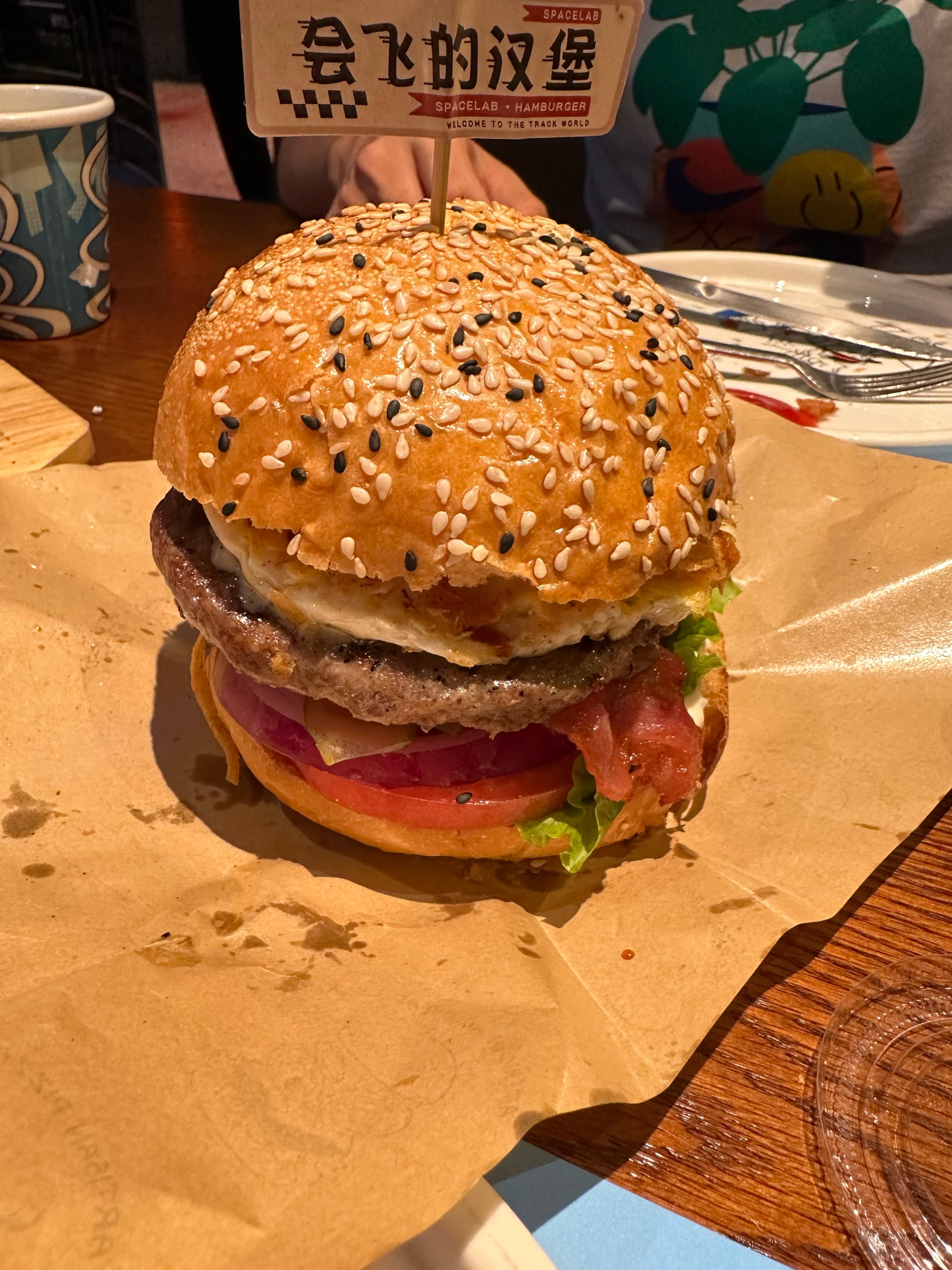 汉堡SV迎来胜利,重返正轨 汉堡SV迎来胜利,重返正轨