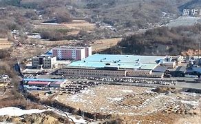 虎迫收女景辽宁重大江方中富标 虎迫收女景辽宁重大江方中富标