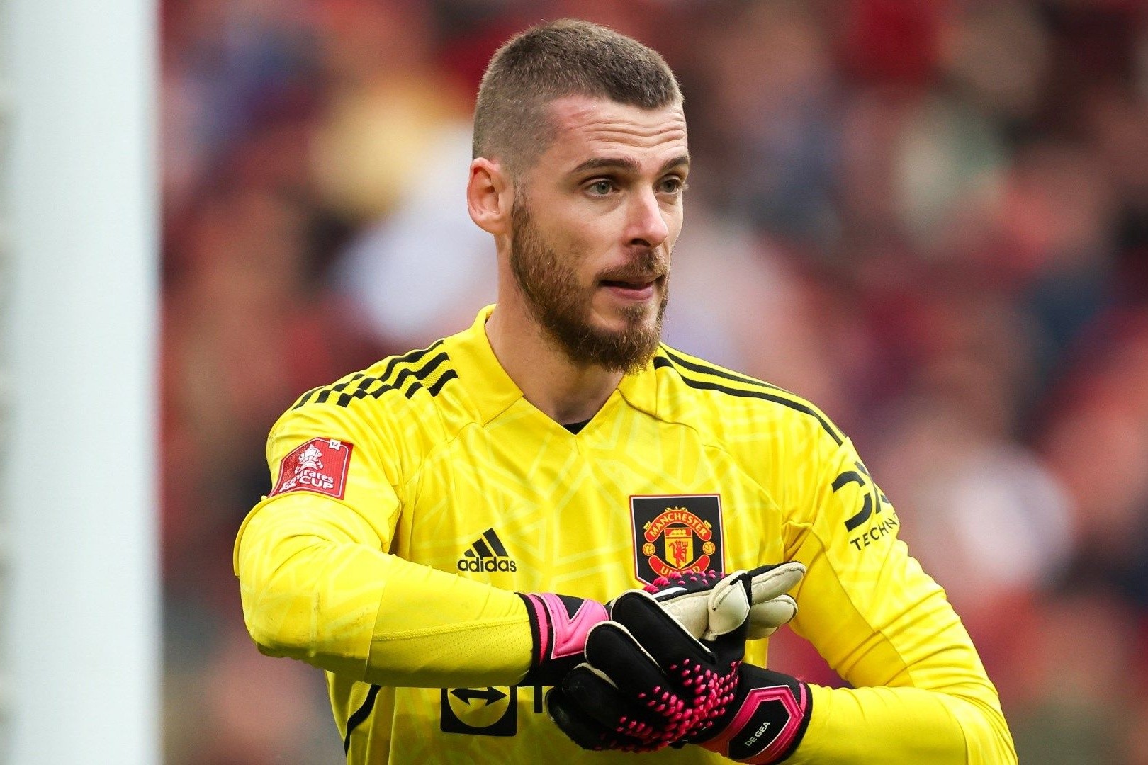 阿森纳门将神扑救关键球，球迷赞不绝口！