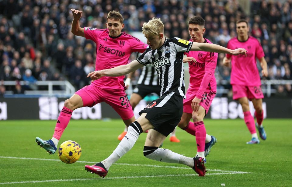 南安普敦大胜富勒姆,重返胜利轨道 南安普敦大胜富勒姆,重返胜利轨道