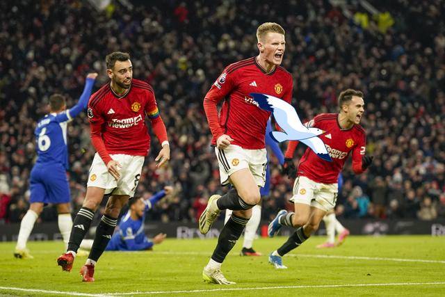 竞技场上的豪强对决谁能傲视群雄? 竞技场上的豪强对决谁能傲视群雄?