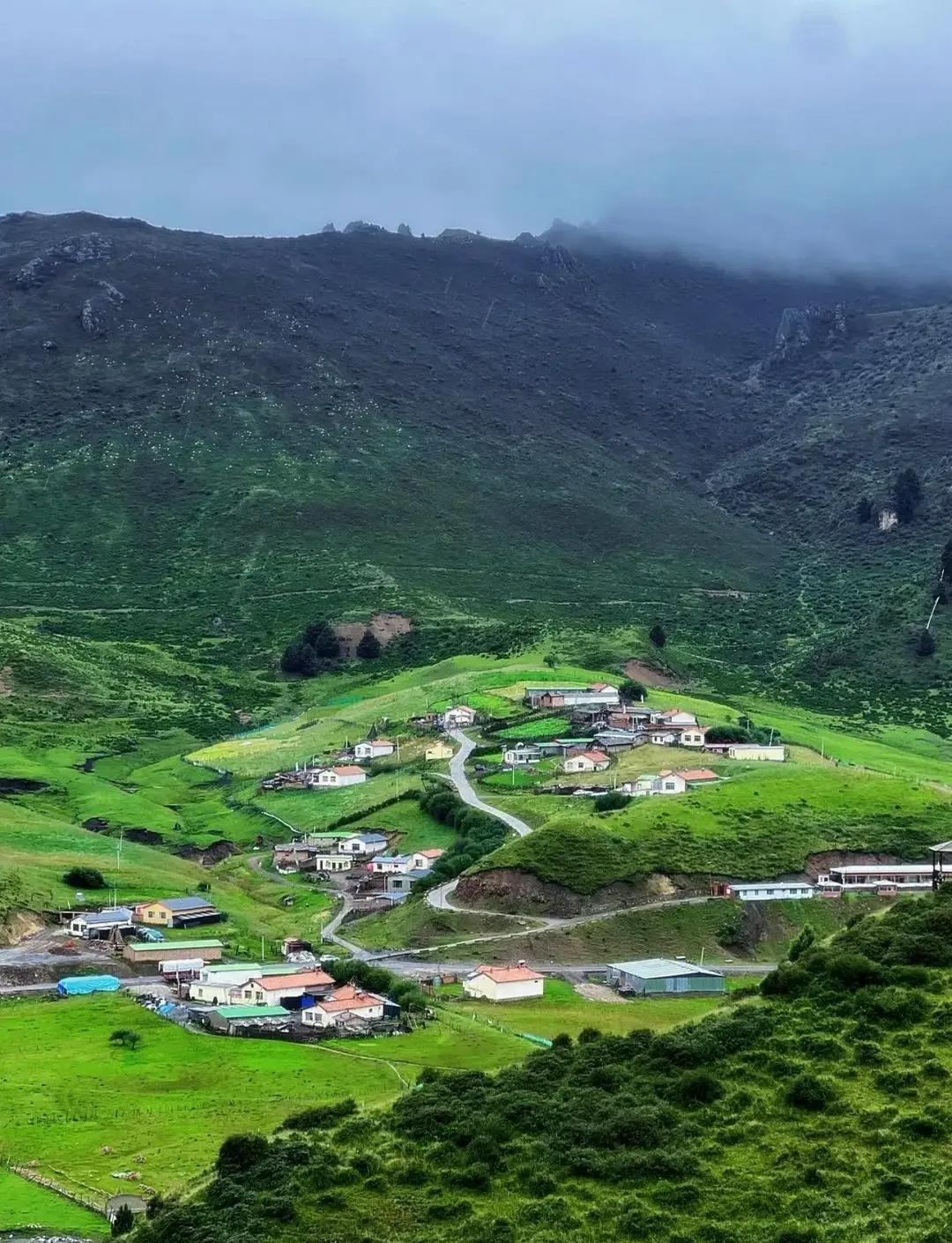 道格拉斯联鹤精心构筑完美进攻 道格拉斯联鹤精心构筑完美进攻